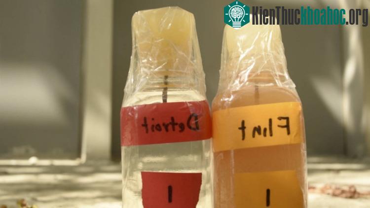 So sánh mẫu nước lấy ở hai thành phố Flint và Detroit cùng thuộc bang Michigan. (Ảnh: Bogonews).