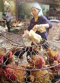 Người dân thờ ơ, chính quyền buông lỏng ảnh 2