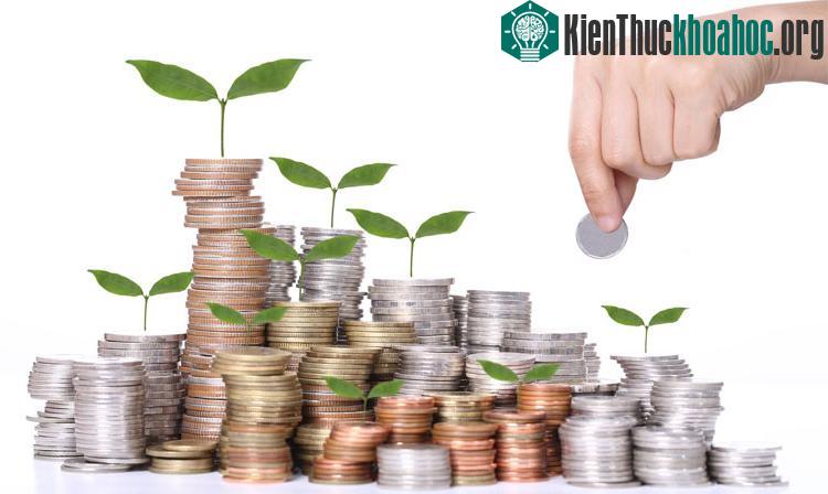 Hiệu quả kinh tế bước đầu là không đáng kể nhưng rất khả quan.