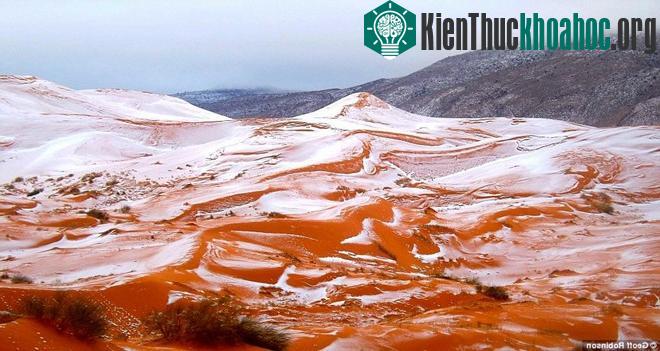 Bức ảnh do nhiếp ảnh gia Karim Bouchetata chụp lại cảnh tuyết rơi ở sa mạc Sahara gần thị trấn Ain Sefra.