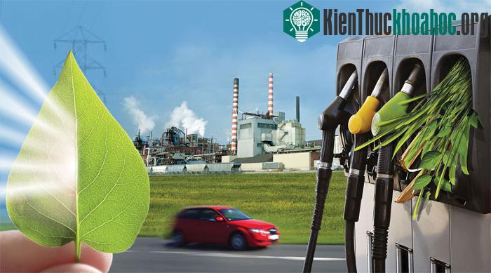 Nhiên liệu sinh học hiện nay chưa hẳn là một sự thay thế phù hợp cho xăng dầu.