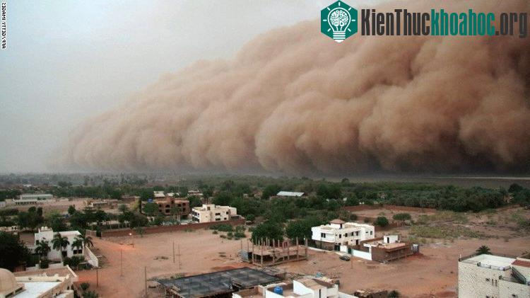 Những cơn bão bụi cũng xuất hiện nhiều hơn trong khu vực, khiến nạn thiếu nước và xói mòn đất càng khốc liệt.