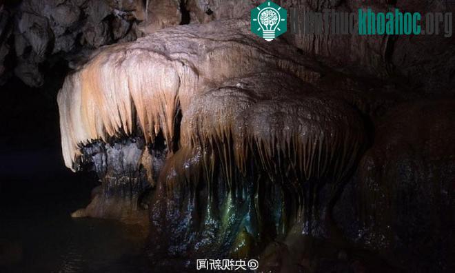 Tổng cộng có 49 hố sụt karst và 50 hố hình phễu với đường kính khoảng 50 - 100m được tìm thấy trong vành đai địa hình karst dài hơn 200km ở thành phố Hán Trung