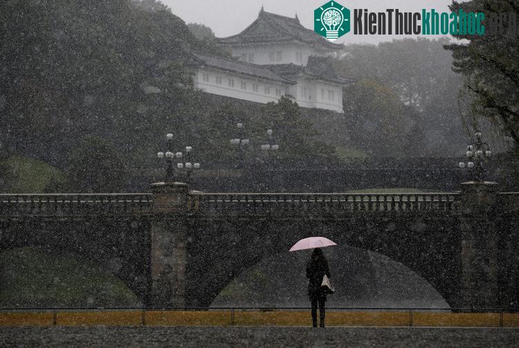 Nhiệt độ trung bình ở Tokyo vào thời điểm này các năm trước khoảng 14 độ C.