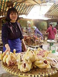 Người dân thờ ơ, chính quyền buông lỏng ảnh 3