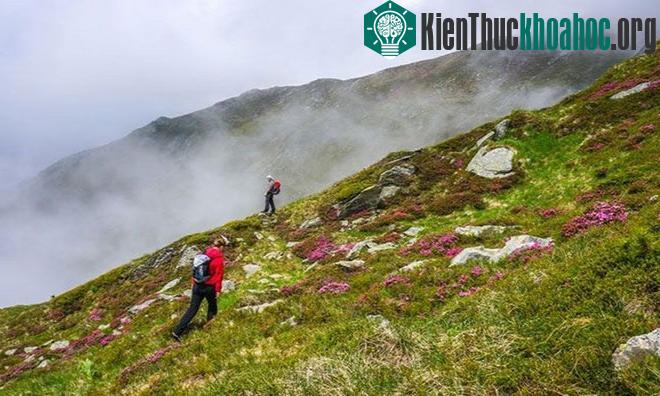 Sương mù sườn núi (Upslope fog).