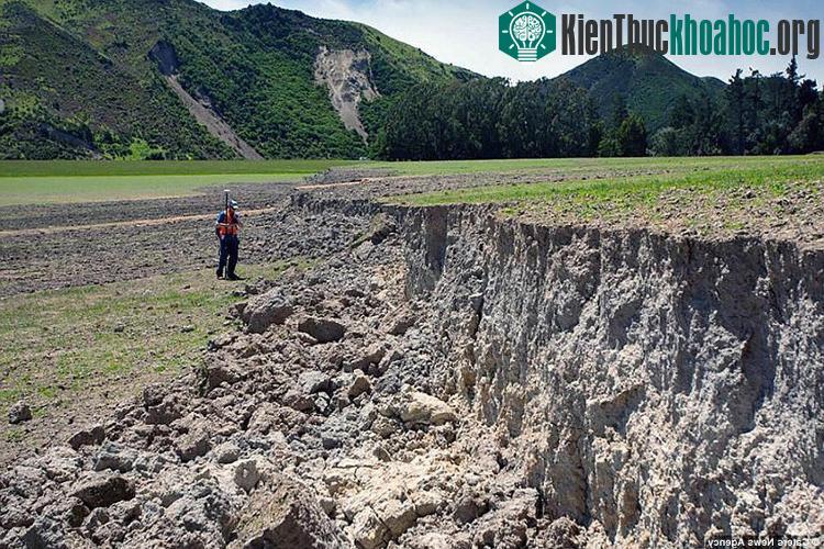 Đường xá, những cánh đồng, triền đồi ở vùng đồng quê xinh đẹp của New Zealand đều bị xáo trộn. T