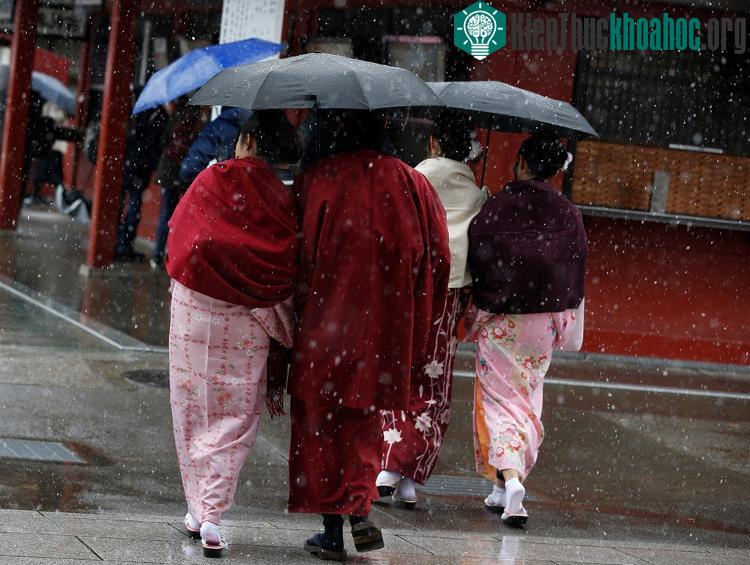Trong ảnh, những phụ nữ mặc kimono đi viếng chùa Senso ở quận Asakusa.