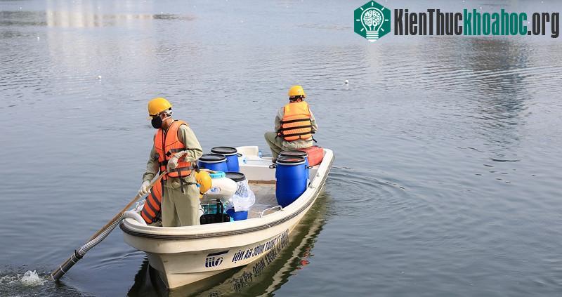 Thông số thủy lý hóa không vượt ngưỡng cho phép để các loài sinh vật thủy sinh sinh trưởng và phát triển.