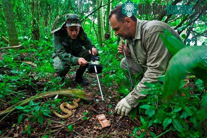 Đảo Rắn nguy hiểm tới mức hải quân Brazil đã cấm tất cả mọi người, trừ một số nhà khoa học, bước lên hòn đảo.