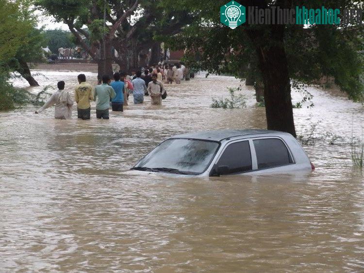 Một cơn lũ với chiều cao 2m nước có thể thổi bay những chiếc xe lớn như xe buýt.