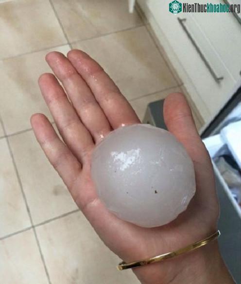 Australia đang chịu ảnh hưởng từ hiện tượng El Niño mạnh kỷ lục, kéo theo nhiều trận hạn hán, giông bão và lụt lội lớn.