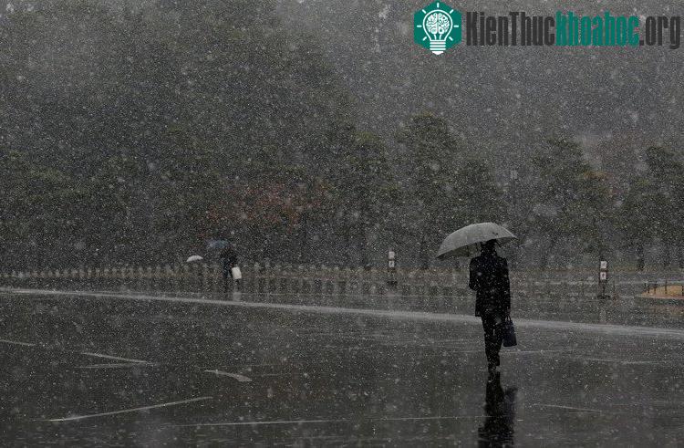 Công ty Điện lực Tokyo cho biết lượng điện tiêu thụ tăng đột biến lên đến 95% do nhu cầu sử dụng hệ thống sưởi ấm tăng.