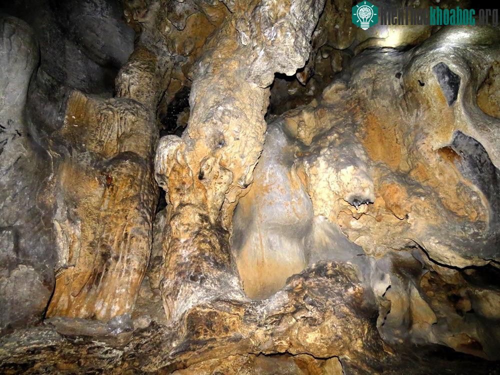 Đặc biệt, có rất nhiều cột đá, nhũ đá lớn chạy dài suốt hang với đủ hình thù.