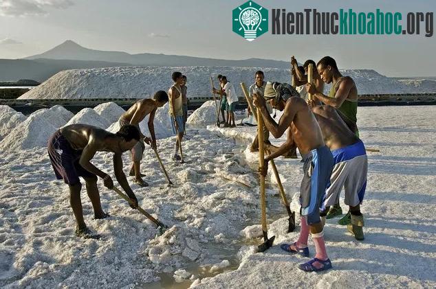 Người dân Afar đang khai thác muối tại vùng lõm Danakil.