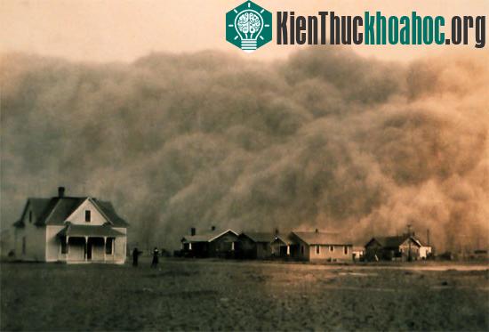 Những thảm họa môi trường do con người gây ra có thể đẩy chính họ đến nguy cơ tuyệt chủng. (Ảnh: Internet.)