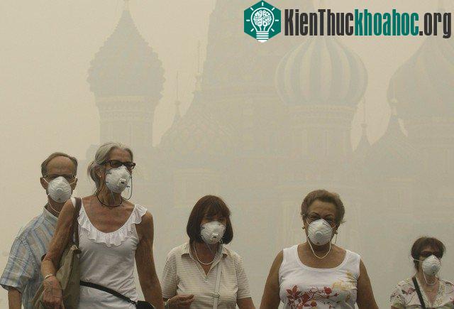 Bụi đô thị không chỉ gây ô nhiễm ở mức độ cơ giới