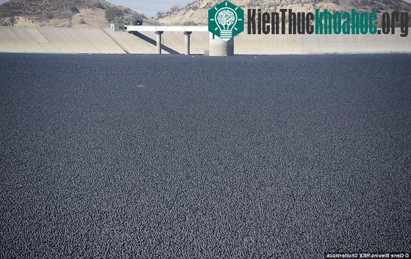 Thả 96 triệu quả bóng nhựa vào hồ nước để chống hạn hán