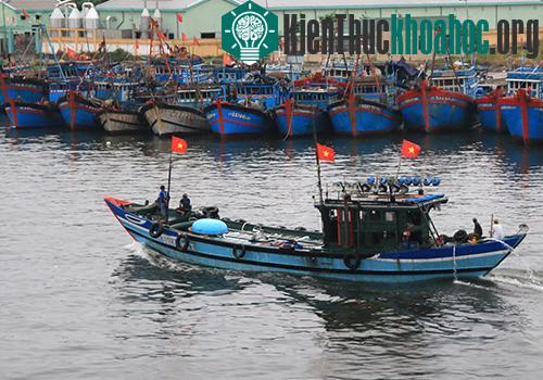 Nhiều tàu cá của ngư dân đã về bờ tránh bão. (Ảnh: Nguyễn Đông.)