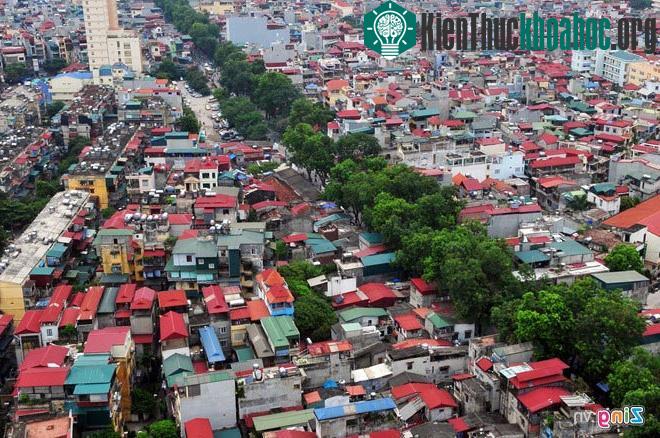 Ngắm những tuyến đường rợp bóng cây xanh ở Hà Nội- ảnh 1