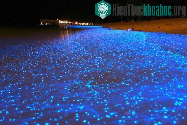 13 hiện tượng ánh sáng kỳ ảo khiến bạn không tin vào mắt mình- ảnh 1