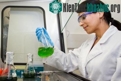 Tạo ra nhiên liệu xanh nhờ quang hợp