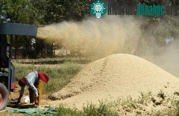 Thay đổi canh tác giúp giảm nền nhiệt trung bình tại châu Âu