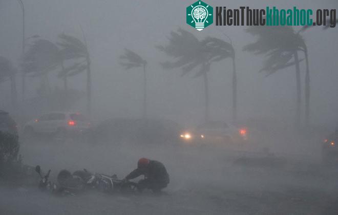 Bão Rammasun, theo tiếng Thái nghĩa là "Thần Sấm", hôm qua đổ bộ miền nam Trung Quốc với sức gió 216km/h, quật ngã nhiều cây cối, làm tốc mái hàng loạt ngôi nhà và lật đổ nhiều xe cộ. Tro...