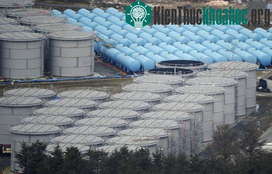 Hiện có khoảng 1.000 thùng chứa nước trong khuôn viên&nbsp;