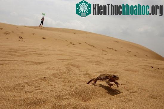 Sa mạc phát ra "tiếng thét quỷ thần chốn địa ngục"