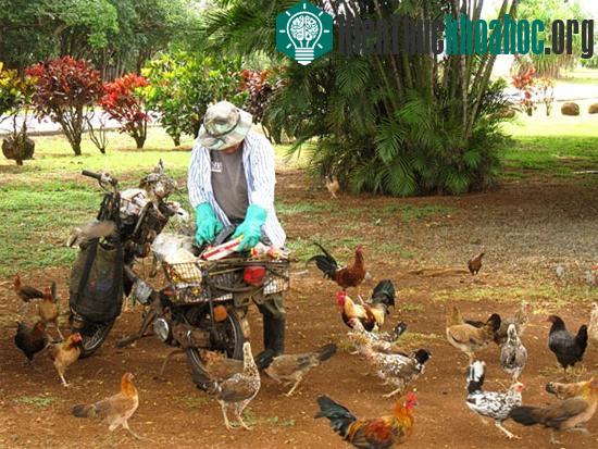 Những hòn đảo thiên đường của động vật