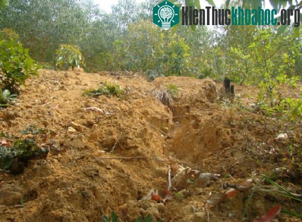 Sử dụng phân bón tổng hợp là một trong những thủ phạm gây xói mòn đất.