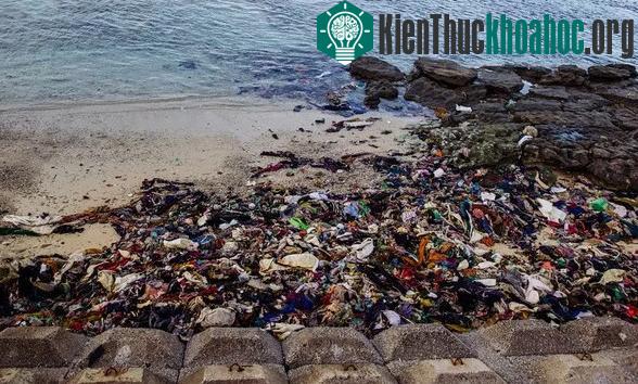 Rác thải ngập đầy sát mép nước biển.