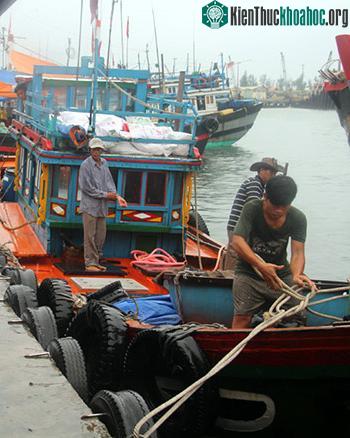 Hầu hết tàu vào đất liền đã đánh bắt được một thời gian trên biển nên cập cảng để trú bão luôn. (Ảnh: Tiến Hùng.)
