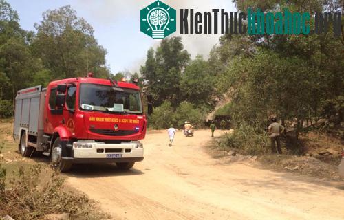 Nhiều xe cứu hỏa được điều động đến hiện trường. (Ảnh: Lê Hoàng).