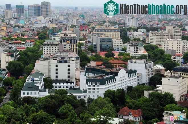 Ngắm những tuyến đường rợp bóng cây xanh ở Hà Nội- ảnh 2