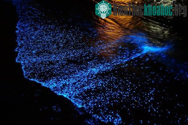 13 hiện tượng ánh sáng kỳ ảo khiến bạn không tin vào mắt mình- ảnh 2