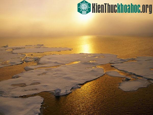 Ảnh minh họa. Nguồn: Nationalgeographic