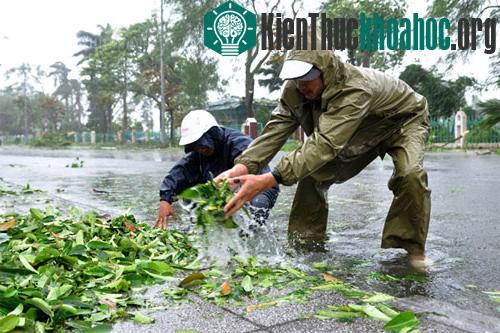 Thu dọn lá cây trên các miệng cống ở thành phố Móng Cái. (Ảnh: Quý Đoàn)