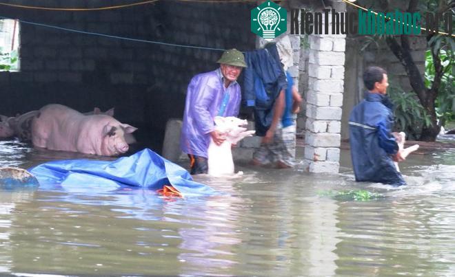 Thành phố Uông Bí ngập lũ do mưa lũ