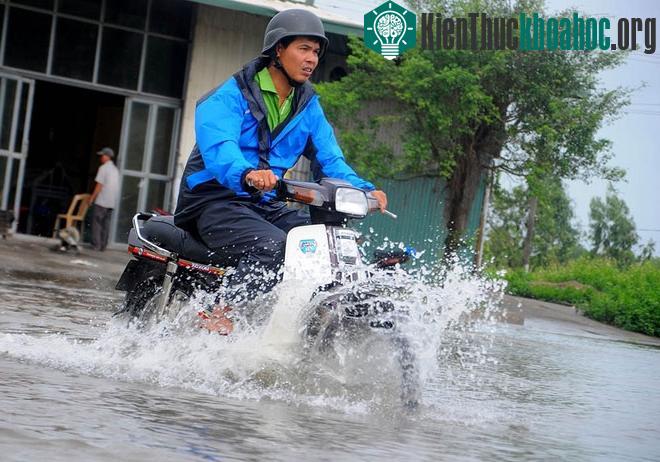 Đoạn đường ở khu 2 thị trấn Tiền Hải bị ngập sâu, có chỗ 30-40cm, các phương tiện đi lại khó khăn, nhiều xe bị chết máy phải dắt bộ.