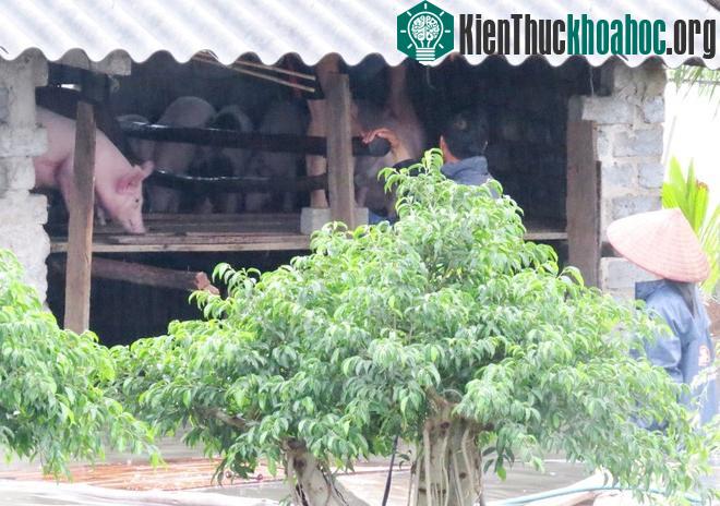 Thành phố Uông Bí ngập lũ do mưa lũ