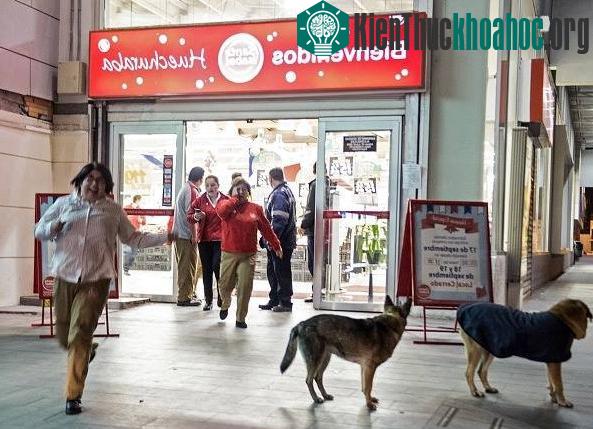 Người dân Chile vội vã chạy ra khỏi một siêu thị ở thủ đô Santiago sau khi thấy mặt đường rung chuyển dữ dội. (Ảnh: AFP).