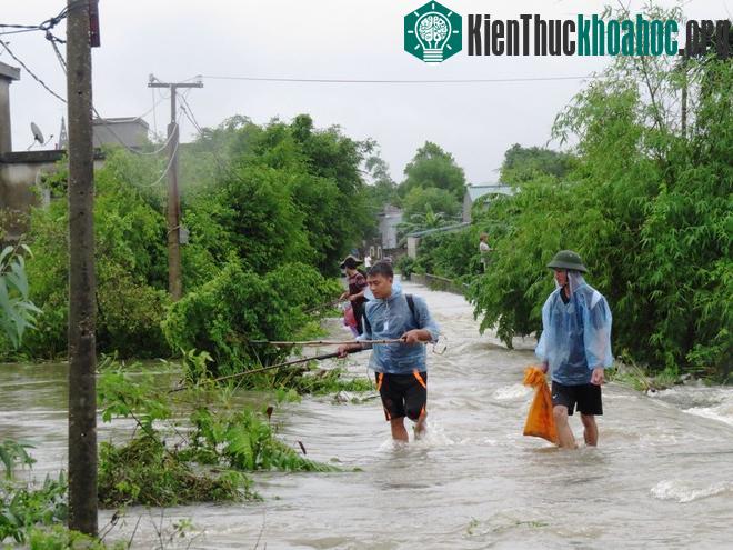 Thành phố Uông Bí ngập lũ do mưa lũ