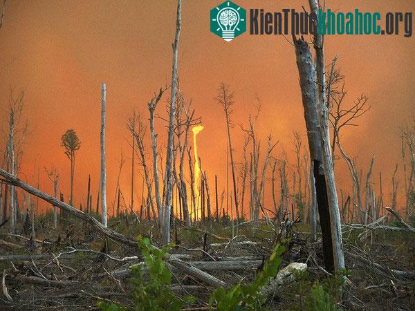 Mưa máu và những hiện tượng thời tiết "dở khóc dở cười" trong lịch sử
