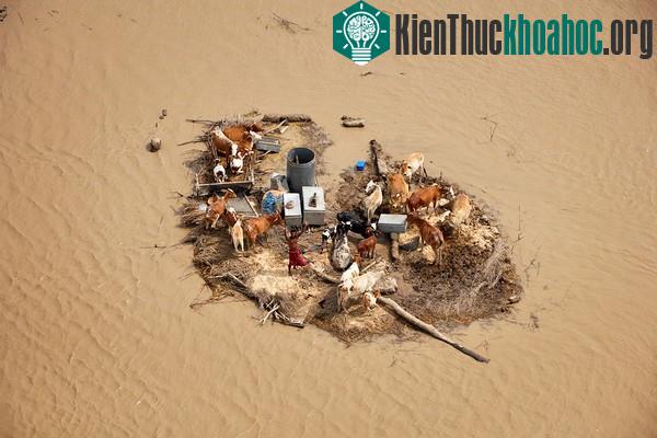 Chùm ảnh kinh hoàng về tình hình cạn kiệt nước sạch trên toàn thế giới
