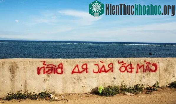 Biển báo vô hiệu lực với thói quen của người dân đảo Lý Sơn.