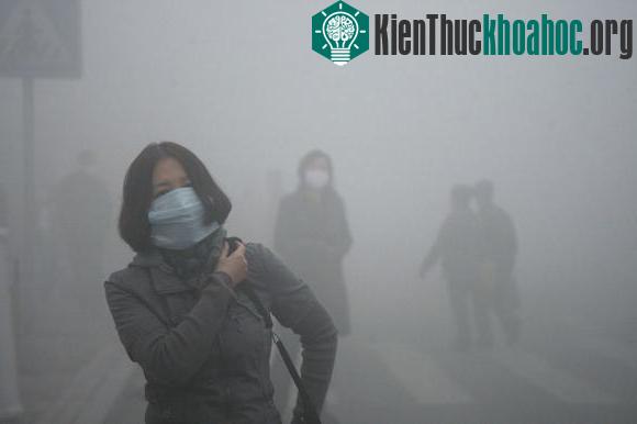Chùm ảnh sốc về ô nhiễm môi trường