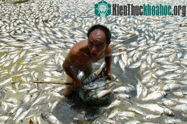 Chùm ảnh kinh hoàng về tình hình cạn kiệt nước sạch trên toàn thế giới
