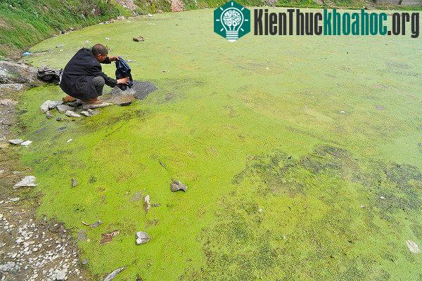 Chùm ảnh kinh hoàng về tình hình cạn kiệt nước sạch trên toàn thế giới